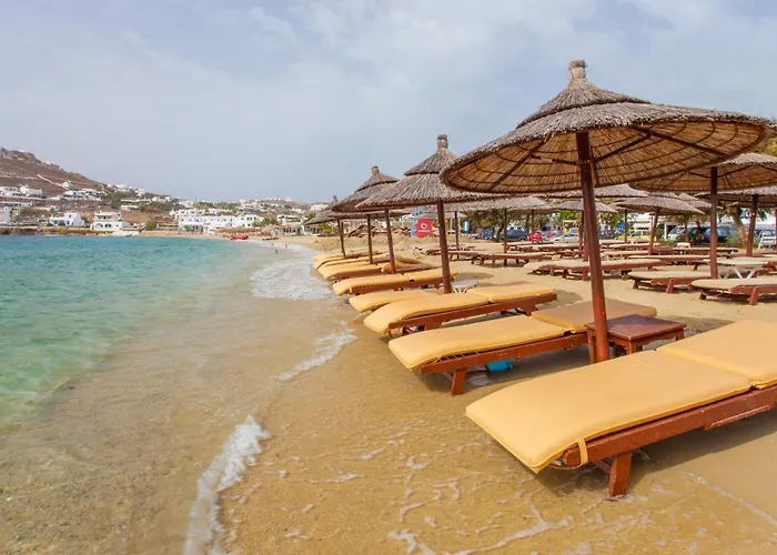 Celeste أورنوس