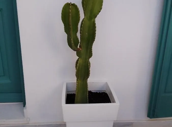 Celeste * Ornos (Mykonos)