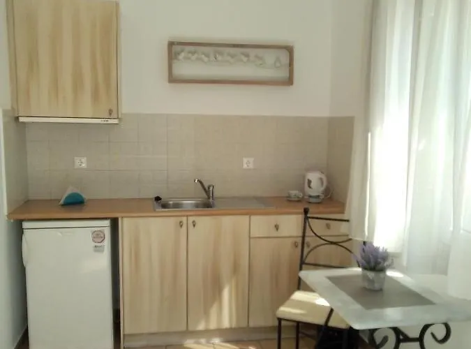 Celeste * 오르노스